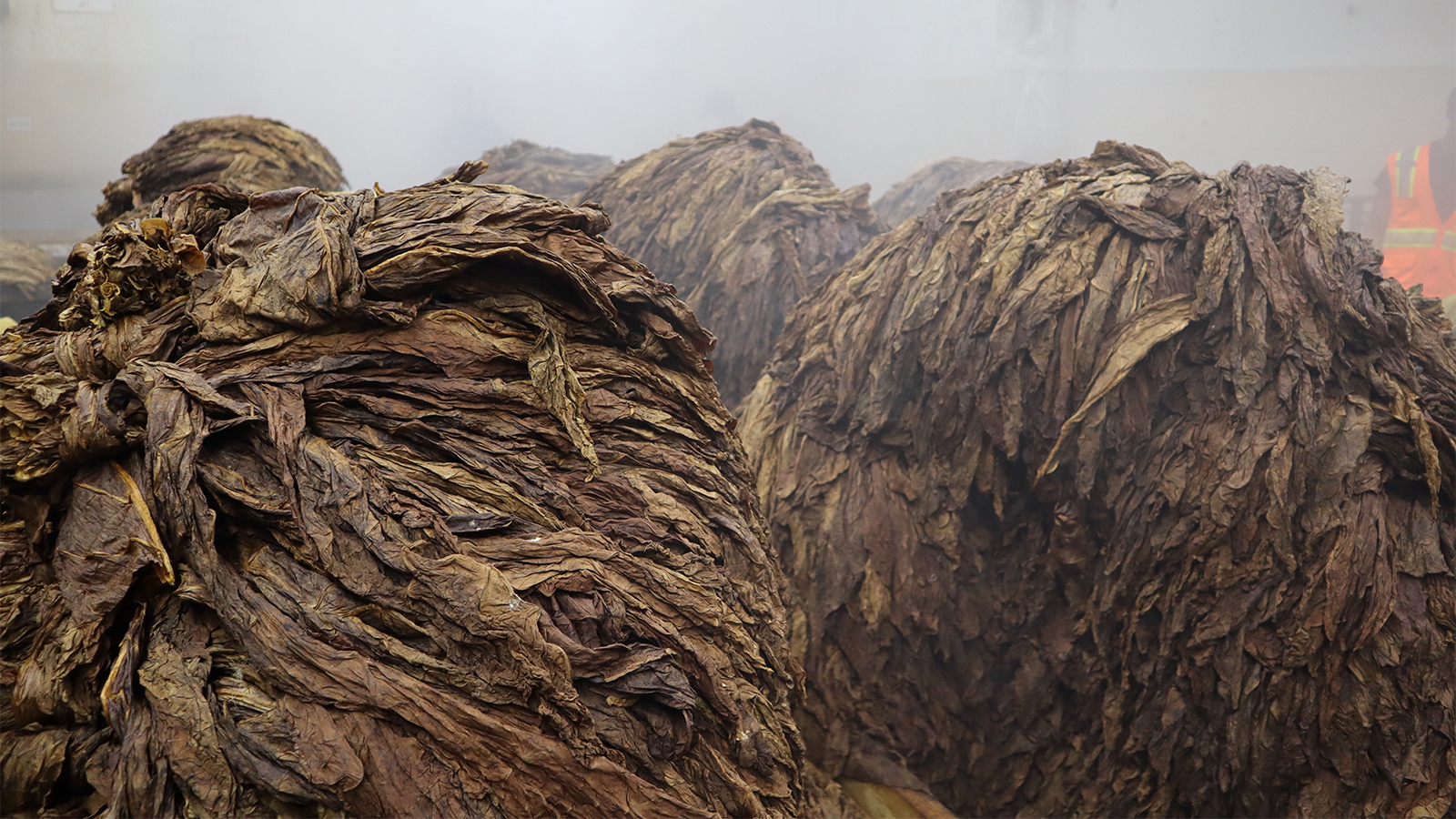 香港六和资料大全