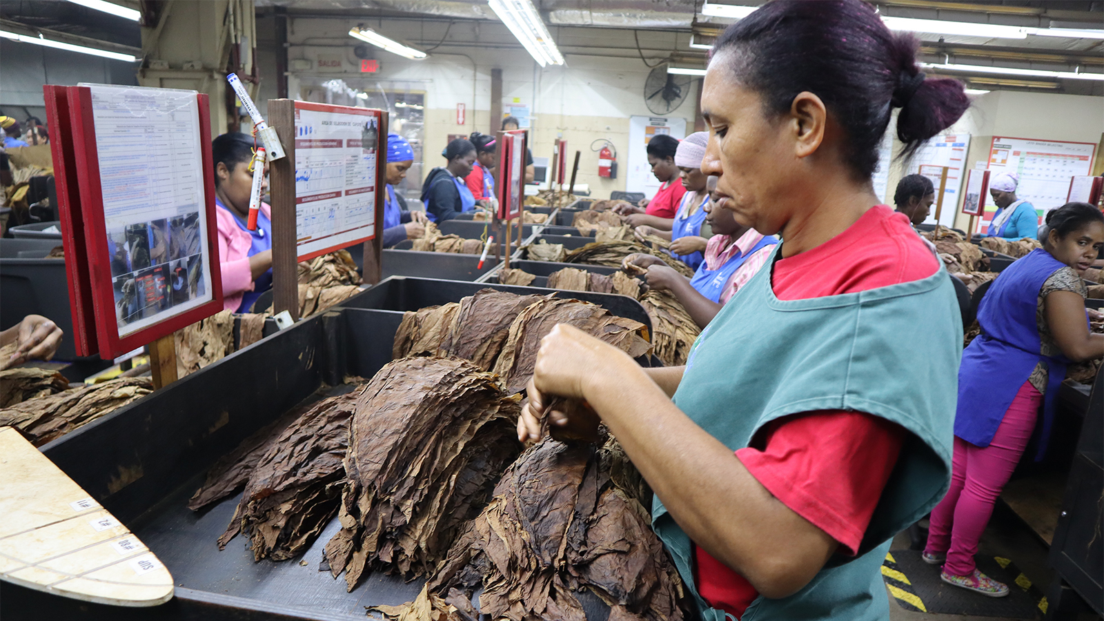 香港六和资料大全