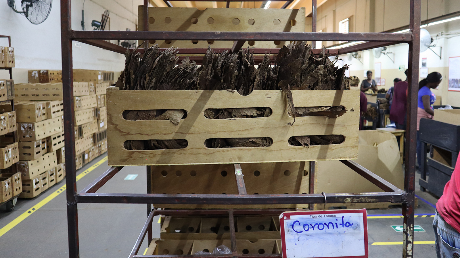 香港六和资料大全