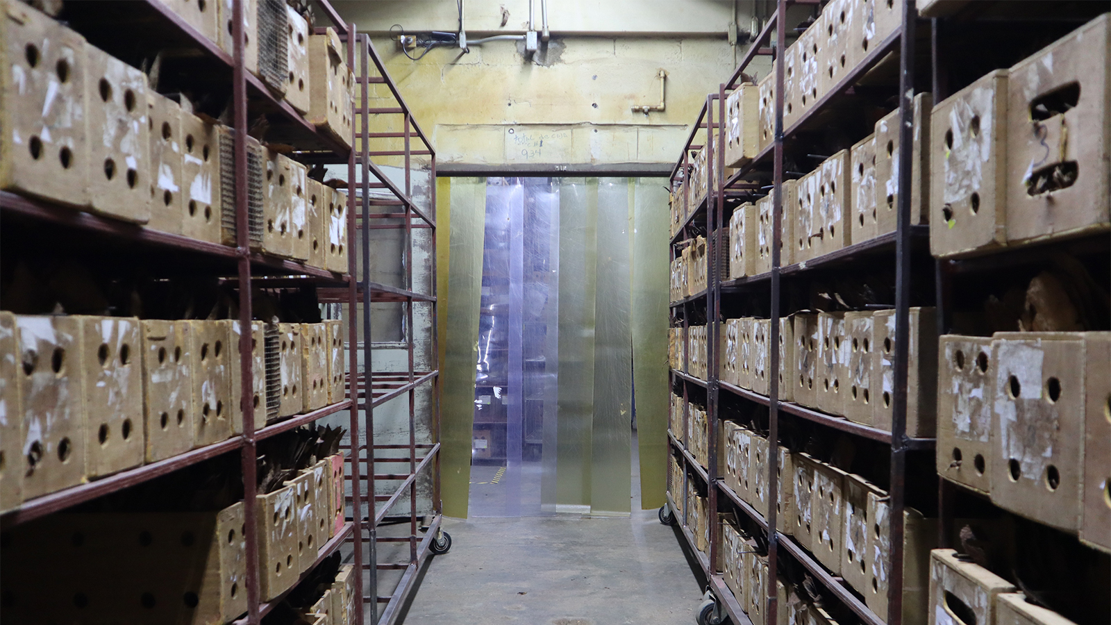 香港六和资料大全