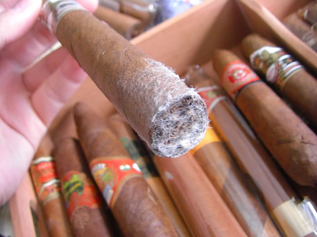 香港六和资料大全