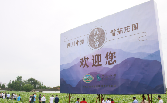 香港六和资料大全