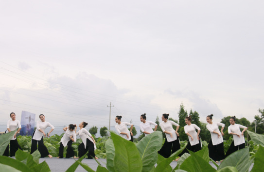 香港六和资料大全