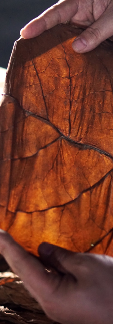 香港六和资料大全