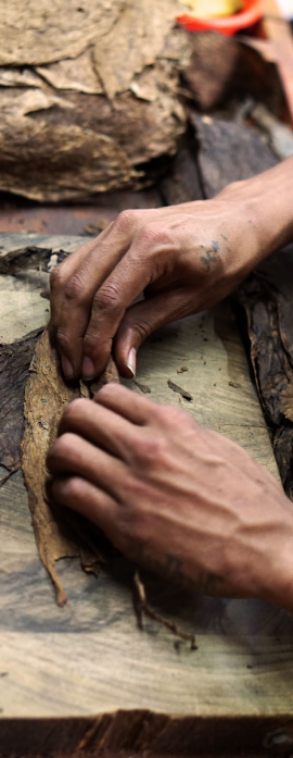 香港六和资料大全