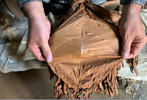 香港六和资料大全