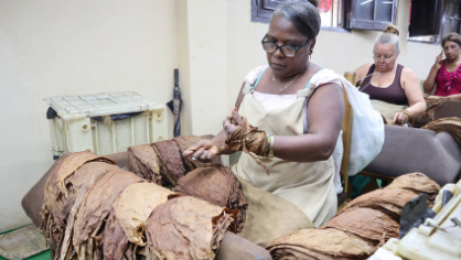 香港六和资料大全
