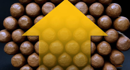 香港六和资料大全