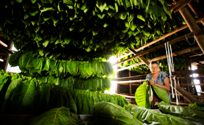 香港六和资料大全