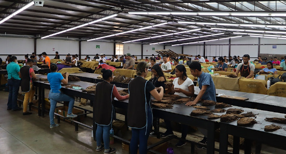 香港六和资料大全