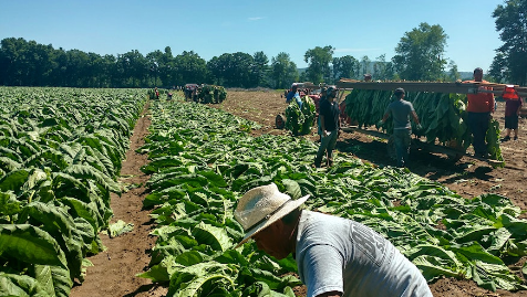 香港六和资料大全