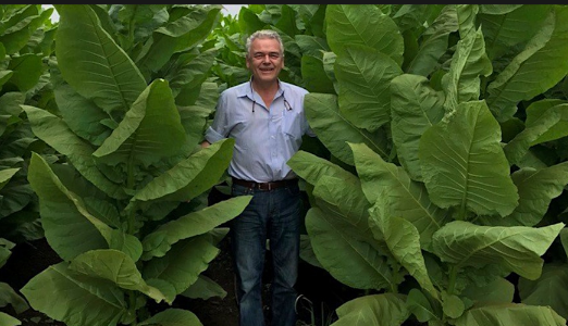 香港六和资料大全